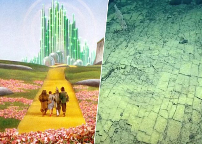 Creíamos que el «camino de baldosas amarillas» era coto privado del cine. Hasta que unos buzos descendieron a las profundidades