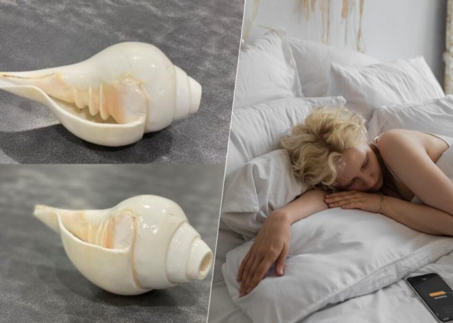 La apnea del sueño convierte dormir en un infierno. Unos científicos creen tener una solución: soplar conchas